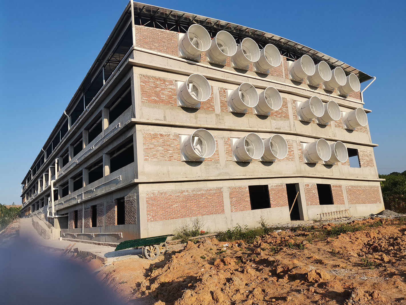 肇慶養豬場(chǎng)環(huán)境空間通風(fēng)降溫案例